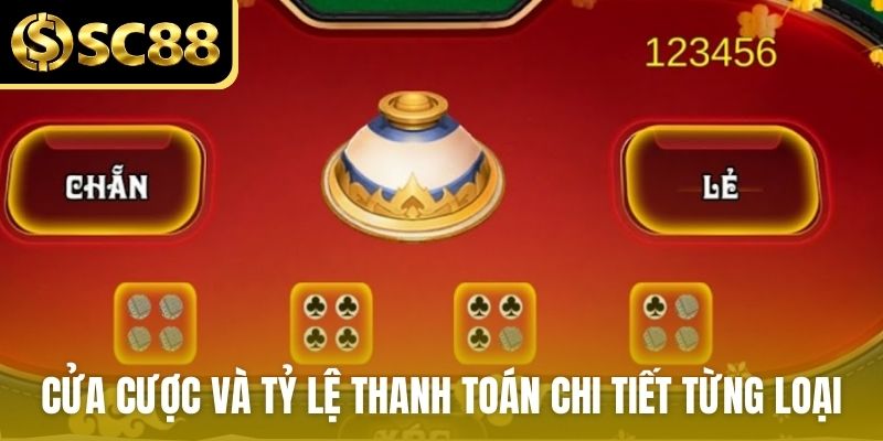 Cửa cược và tỷ lệ thanh toán chi tiết từng loại
